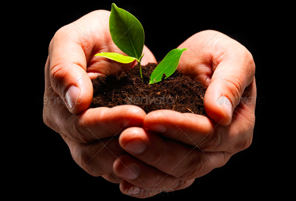 一键解决问题的ddos免费测试