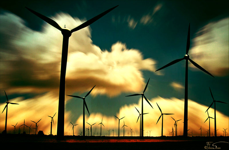 会员市场安全的ddos网页版