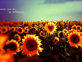 CC在线压力测试